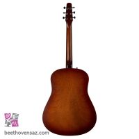 گیتار آکوستیک سیگول مدل Entourage Autumn Burst