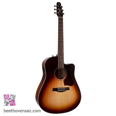 گیتار الکترو آکوستیک سیگول مدل Entourage Autumn Burst CW presys