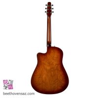 گیتار الکترو آکوستیک سیگول مدل Entourage Autumn Burst CW presys