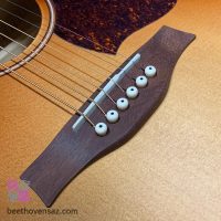 گیتار الکترو آکوستیک سیگول مدل Entourage Autumn Burst CW presys