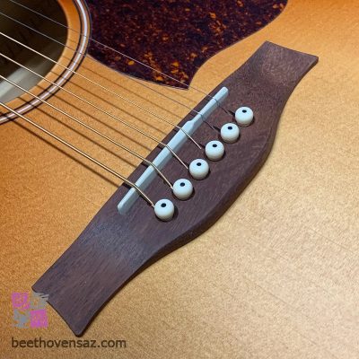 گیتار الکترو آکوستیک سیگول مدل Entourage Autumn Burst CW presys
