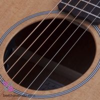 گیتار آکوستیک شکتر مدل Deluxe Acoustic
