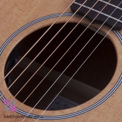 گیتار آکوستیک شکتر مدل Deluxe Acoustic