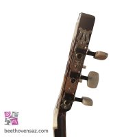 گیتار کلاسیک اس ای کد 01