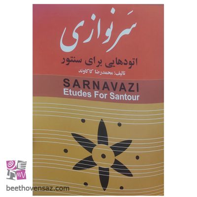 کتاب سر نوازی اثر محمدرضا کاکاوند انتشارات چکاد هنر