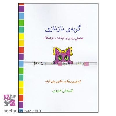 کتاب گربه ی نازنازی اثر کیاوش انوری انتشارات گنجینه کتاب نارون