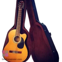 هارد کیس گیتار کلاسیک پلاس مدل Black