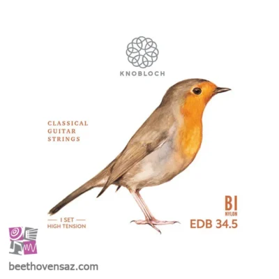 سیم گیتار نابلوخ مدل 5.EDB34