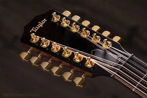 راهنمای خرید گیتار ۱۲ سیم