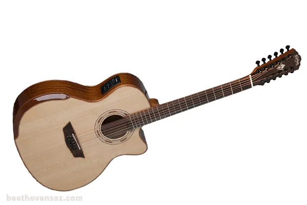 راهنمای خرید گیتار ۱۲ سیم