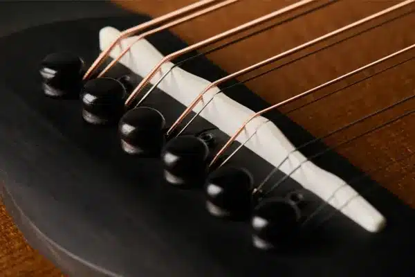 راهنمای خرید گیتار ۱۲ سیم