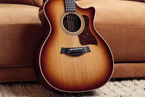 راهنمای خرید گیتار آکوستیک برای تازهکارها 2 راهنمای خرید گیتار آکوستیک - فروشگاه موسیقی بتهوون