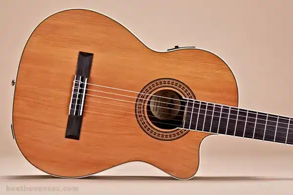 مقایسه گیتارهای کلاسیک مناسب مبتدیان 2 بهترین گیتار کلاسیک برای شروع - فروشگاه موسیقی بتهوون