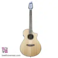 Breedlove Discovery S Concert Nylon CE - Red Cedar African Mahogany (DSCN01NCERCAM)