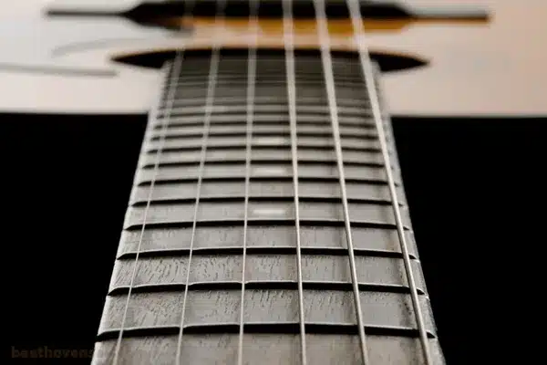 تنظیم اکشن گیتار 1 تنظیم اکشن گیتار - بررسی دسته گیتار