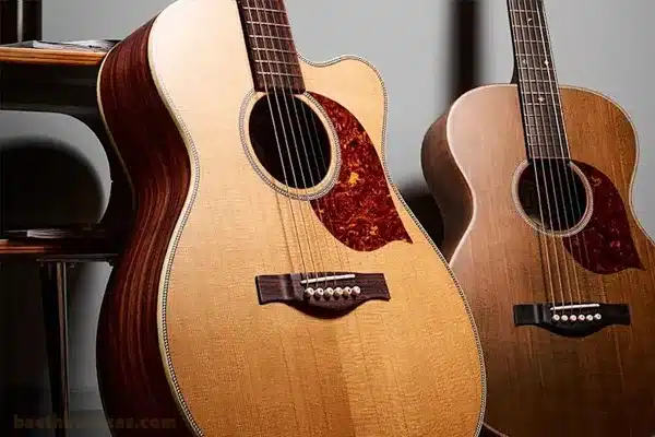 تاثیر چوب ماهون بر صدای گیتار 2 گیتار یاماها رنگ قهوهایی - تاثیر چوب ماهون بر صدای گیتار