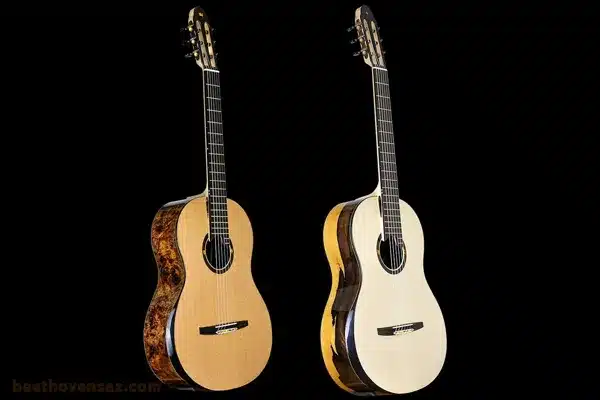 تفاوت چوب صنوبر و سدر در گیتار 2 تفاوت چوب صنوبر و سدر در گیتار