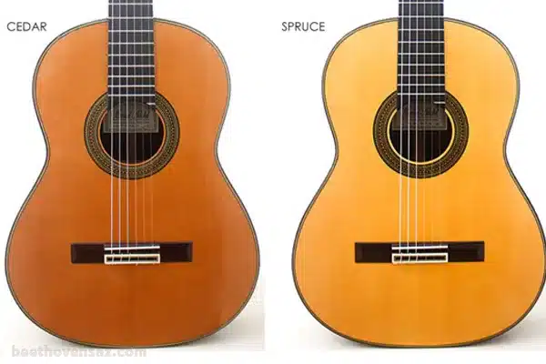 تفاوت چوب صنوبر و سدر در گیتار 1 تفاوت چوب صنوبر و سدر در گیتار