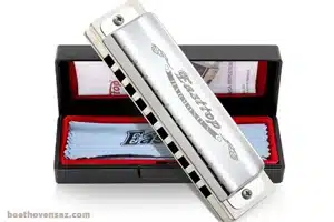 سازدهنی چه مارکی خوبه 3 سازدهنی ایستاپ