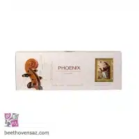 ویولن فونیکس VP101 E 3/4