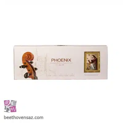 ویولن فونیکس VP101 E 3/4