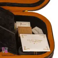 ویولن فونیکس OVS301 E 4/4