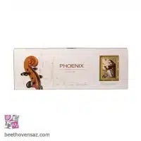 ویولن فونیکس VP101 E 1/2