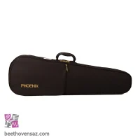 ویولن فونیکس VP101 E 1/2