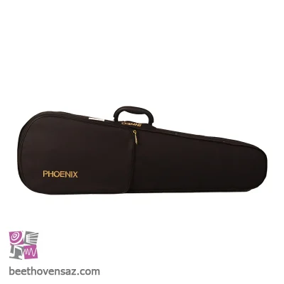 ویولن فونیکس VP101 E 1/2