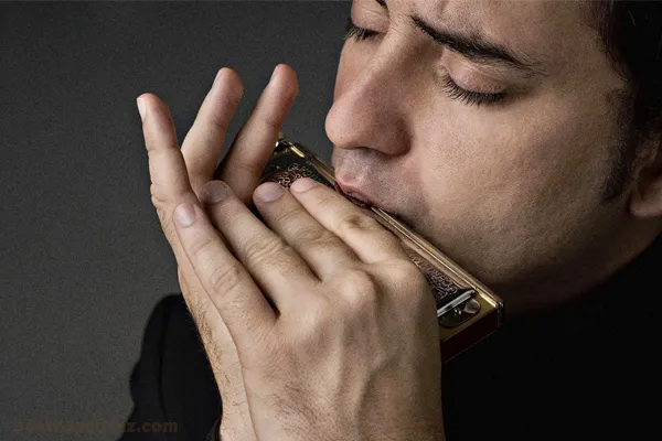 چگونه در خانه سازدهنی یاد بگیریم