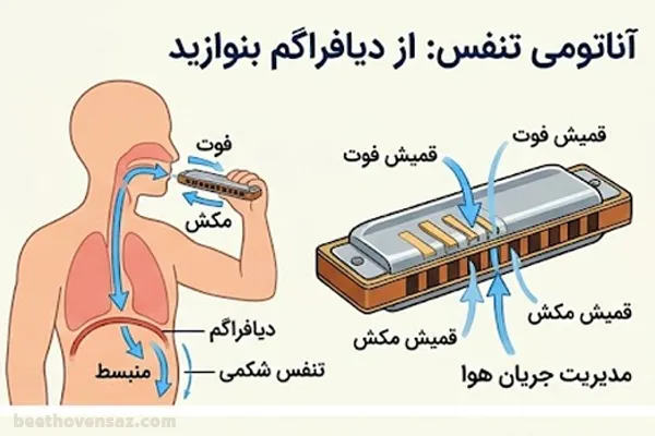 آموزش فوت و مکش در سازدهنی